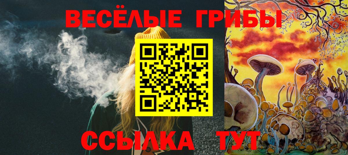 Псилоцибиновые грибы ЛСД Дагестанские Огни