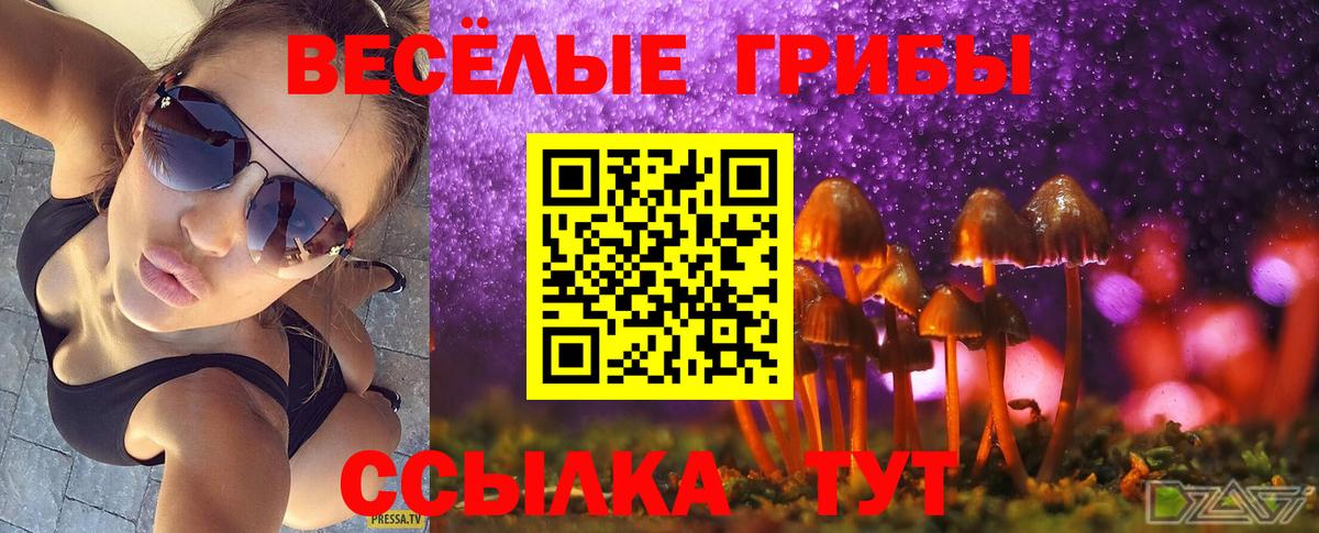 Галлюциногенные грибы GOLDEN TEACHER  Псилоцибиновые грибы мицелий  Дагестанские Огни  Вход с VPN 